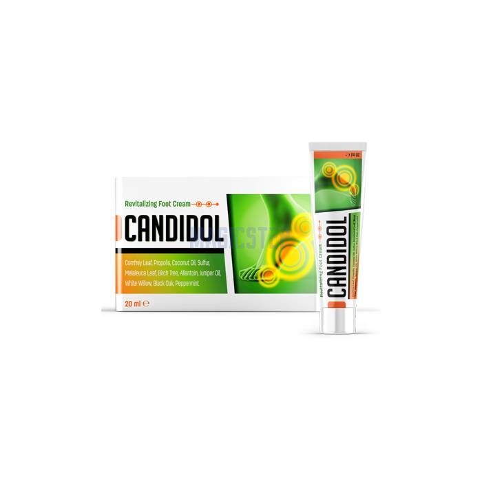 Candidol 在蓬费拉达